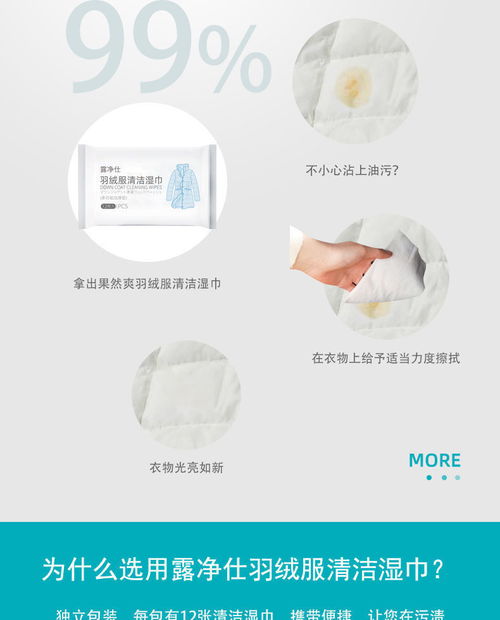 冬季干洗劑 家用免洗去污神器，輕松告別頑固污漬