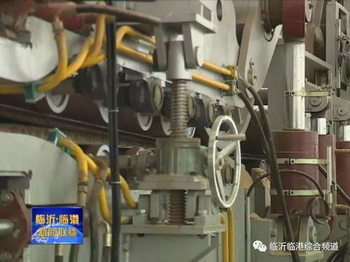 臨港這家企業手握 國內第一 ,還在海外建起了工廠
