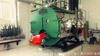 金信達鍋爐公司隆重推出新型能源及清潔燃料鍋爐 高效.環保.智能運行.省心省力